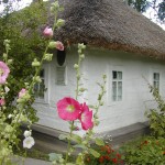 меморіальний музей Олександра Довженка меморіальний музей Олександра Довженка