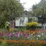 меморіальний музей Олександра Довженка меморіальний музей Олександра Довженка