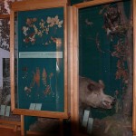 Остерський краєзнавчий музей Остерський краєзнавчий музей