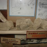 Мезинський археологічний музей Мезинський археологічний музей