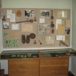 Березнянський історико-краєзнавчий музей імені Г.Г. Верьовки Березнянський історико-краєзнавчий музей імені Г.Г. Верьовки