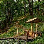 Криниця Криниця