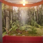 Холминський військово-історичний музей Холминський військово-історичний музей