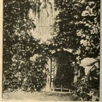 історико-археологічний музейний комплекс «Древній Любеч» історико-археологічний музейний комплекс «Древній Любеч»