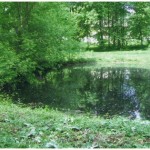 озеро Заньковецької озеро Заньковецької